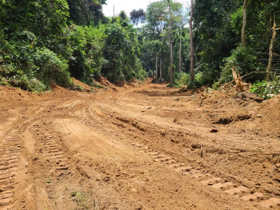 Entretien des routes inter R0304 NDOM-KAKAK-LIKOUND